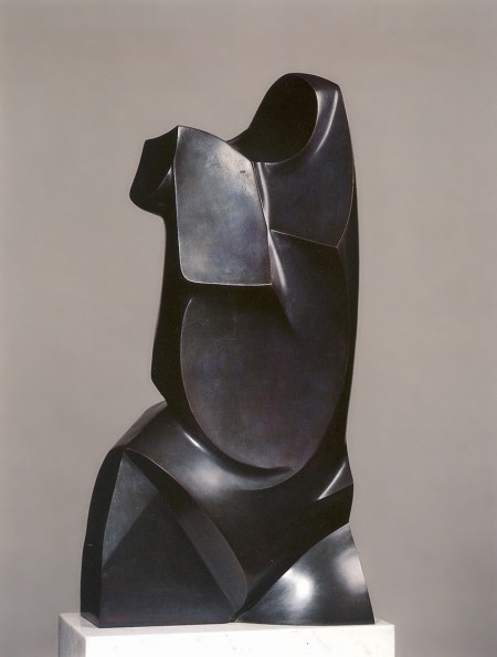 Torso